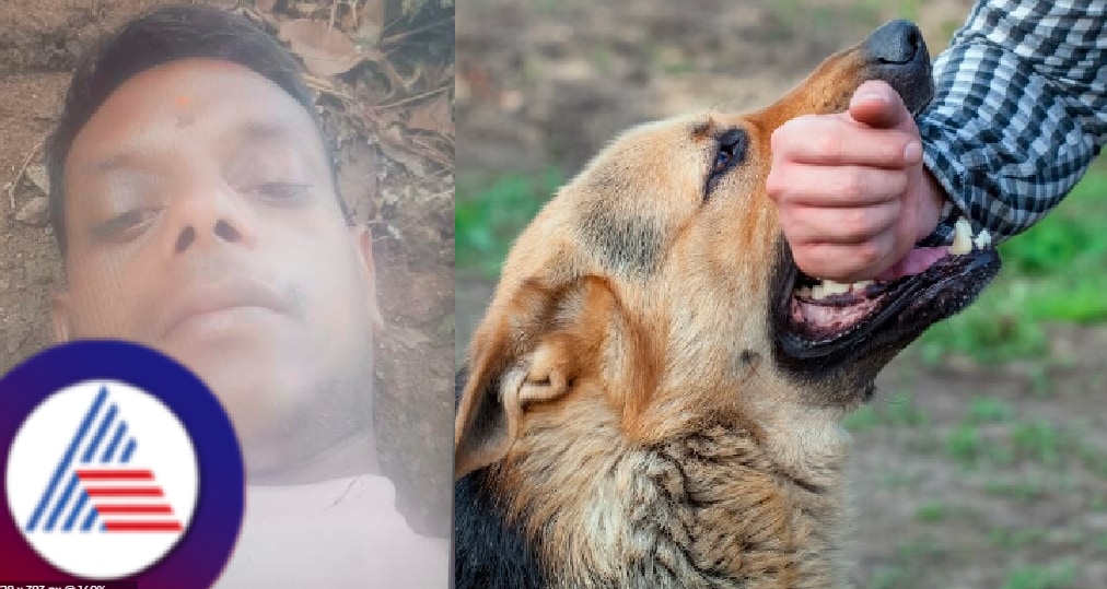 Man dies six months after bitten by a dog in tigadi village at Belagavi rav
