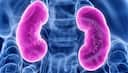 Kidney Health: కిడ్నీలు ఆరోగ్యంగా ఉండాలంటే ఈ యోగాసనాలు కచ్చితంగా చేయాల్సిందే!