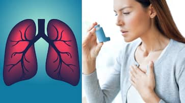 Tips To Manage Asthma During Summer Heatwaves Tips To Manage Asthma During Summer Heatwaves