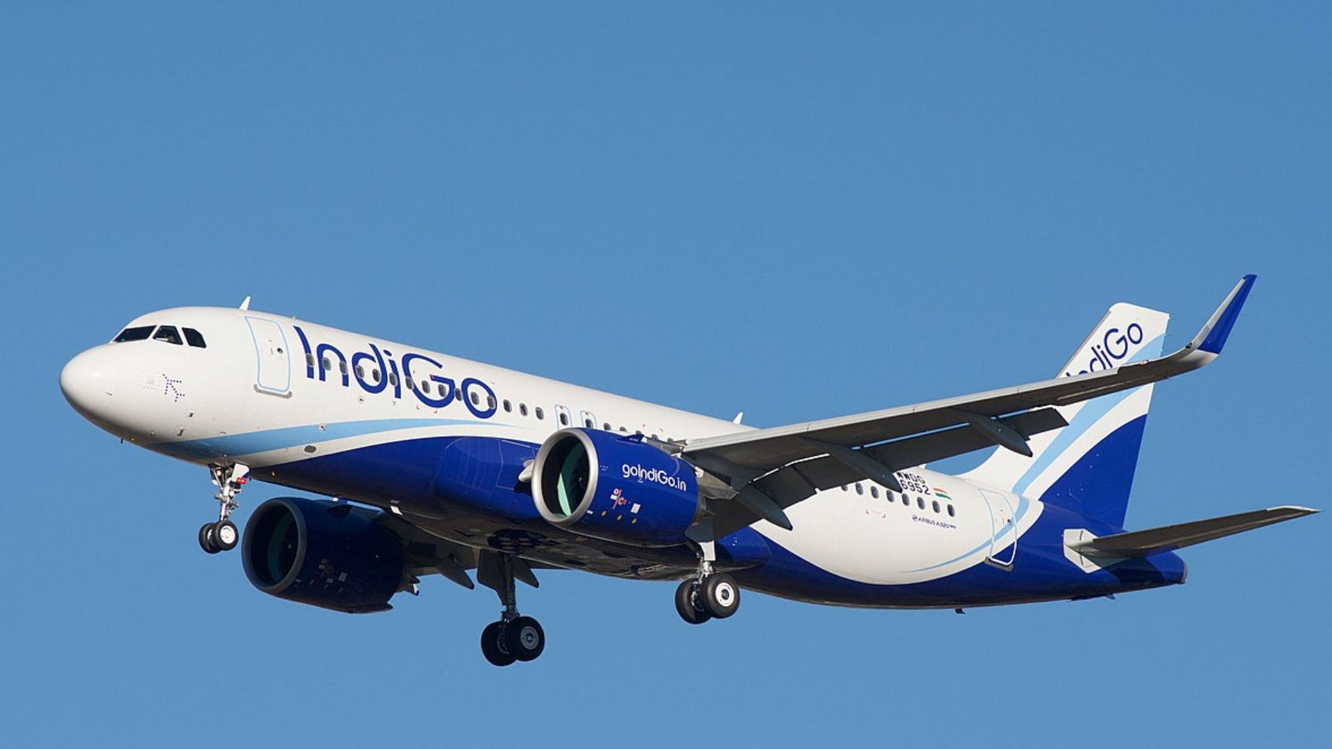 Indigo Flight