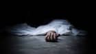 38-year-old engineer ends life in Noida hotel after fight with girlfriend over pet dog