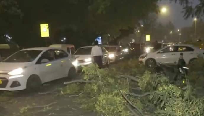 15 flights diverted after rain, dust storms in Delhi-NCR, red alert issued; IMD warns of more showers (WATCH)