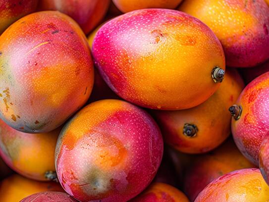 manglo World's most expensive mango: price, origin, and health benefits in telugu