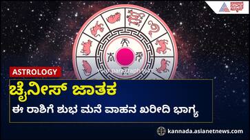 chinese horoscope 2025 yearly predictions lucky success zodiac signs suh chinese horoscope 2025 yearly predictions lucky success zodiac signs suh