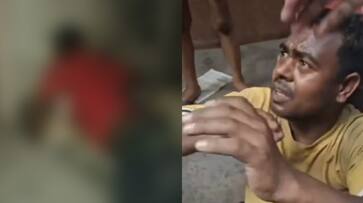 Stray dog sexual abuse case delhi man arrested after video goes viral on social media Stray dog sexual abuse case delhi man arrested after video goes viral on social media