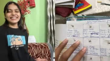 girl categorize dead mosquitoes with name place and time of death bizarre hobby went viral girl categorize dead mosquitoes with name place and time of death bizarre hobby went viral