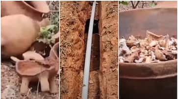 Soil removed for jal jeevan mission in Manimoola unexpected sights 5 earthen pots with 4 legs and bone fragments historical remains found Soil removed for jal jeevan mission in Manimoola unexpected sights 5 earthen pots with 4 legs and bone fragments historical remains found