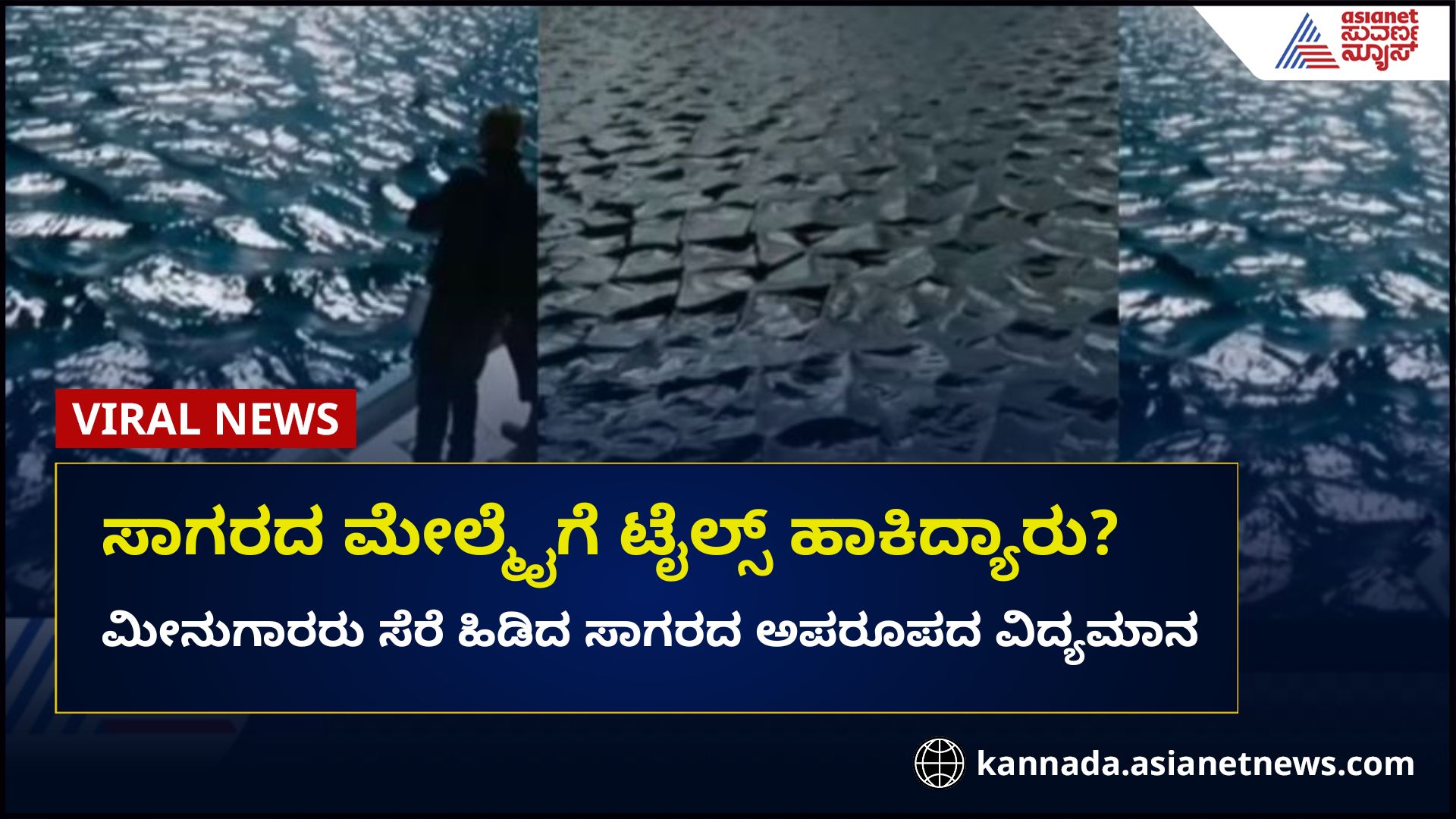 Cross Sea Waves Rare Ocean Phenomenon: ಸ್ಕ್ವೇರ್ ವೇವ್ ಎಂದು ಕರೆಯಲ್ಪಡುವ ಈ ...