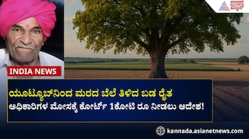 Maharashtra Farmer Become Crorepati from single Red Sandalwood Tree gow Maharashtra Farmer Become Crorepati from single Red Sandalwood Tree gow