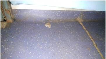 stones coming from somewhere hits Coimbatore-Kannur Express one arrested stones coming from somewhere hits Coimbatore-Kannur Express one arrested