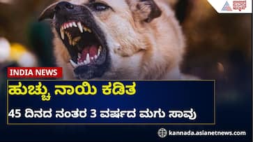 3 Year Old Dies of Rabies in Aligarh After Stray Dog Bite 3 Year Old Dies of Rabies in Aligarh After Stray Dog Bite