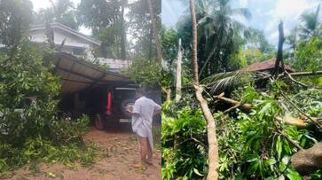 huge loss in rain and strong wind in and around thrissur 13 April 2025 huge loss in rain and strong wind in and around thrissur 13 April 2025