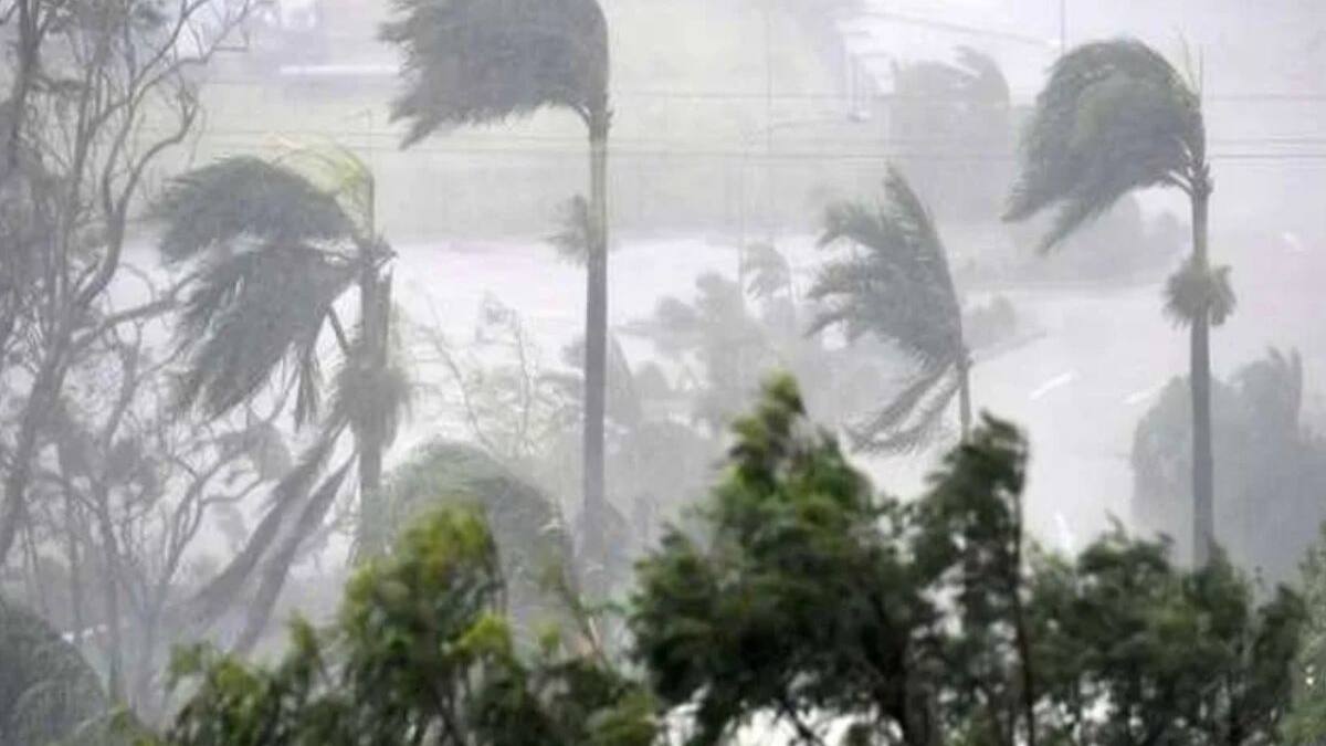 Rain Alert In Bihar