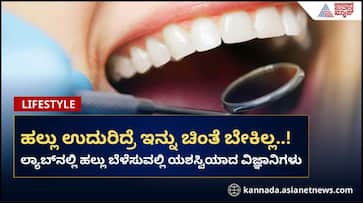 Scientists have successfully grown human teeth in a lab for the first time san Scientists have successfully grown human teeth in a lab for the first time san