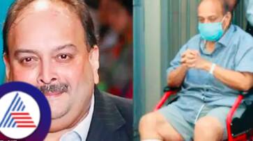 All about the 13 500 crore PNB loan fraud case that Mehul Choksi has been arrested rav All about the 13 500 crore PNB loan fraud case that Mehul Choksi has been arrested rav