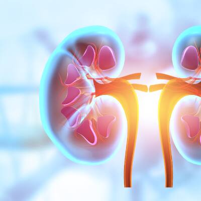 Health Guide: 6 Common Foods That Can Damage Your Kidneys