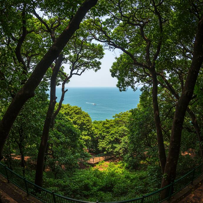 Mumbai Forest Walkway6