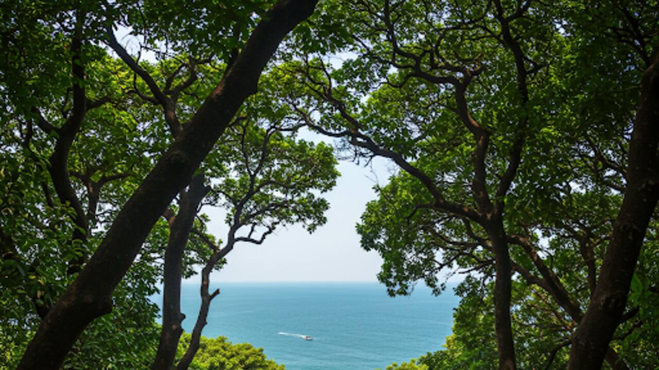 Mumbai Forest Walkway6