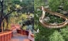 Mumbai's Elevated Nature Trail: Check Timings, Tickets, and Highlights
