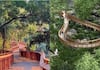 Mumbai Elevated Nature Trail Kamala Nehru Park Doongerwadi Woods iwh