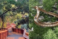 Mumbai Elevated Nature Trail Kamala Nehru Park Doongerwadi Woods iwh
