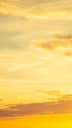 Maharashtra Weather, May 5: Sunny skies and soaring temperatures
