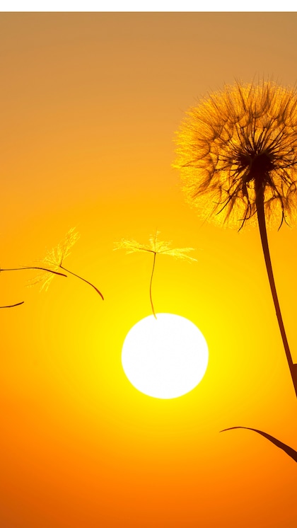 Sunrise and Sunset Timings 