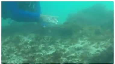 Archaeological Survey of India s excavations for the city of Dwarka off gujarat coast Archaeological Survey of India s excavations for the city of Dwarka off gujarat coast