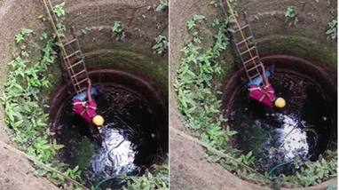 cobra fell into a well in Trithala was rescued after two days cobra fell into a well in Trithala was rescued after two days