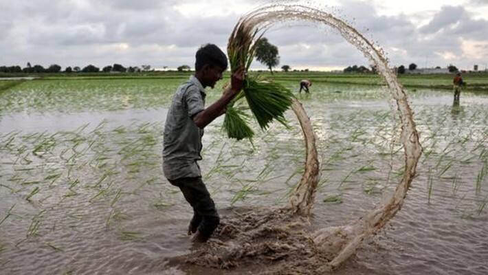 mp monsoon forecast 2025 heavy rainfall 