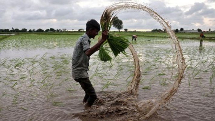 mp monsoon forecast 2025 heavy rainfall  mp monsoon forecast 2025 heavy rainfall