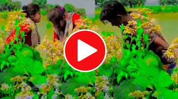 Couple s indecent behavior in public place Viral video mrq Couple s indecent behavior in public place Viral video mrq