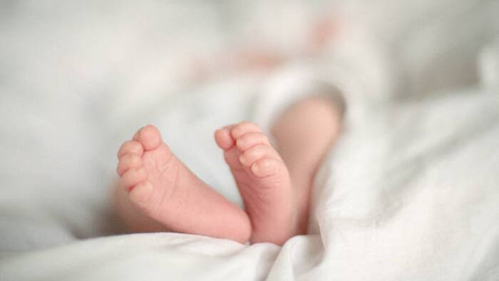 newborn baby