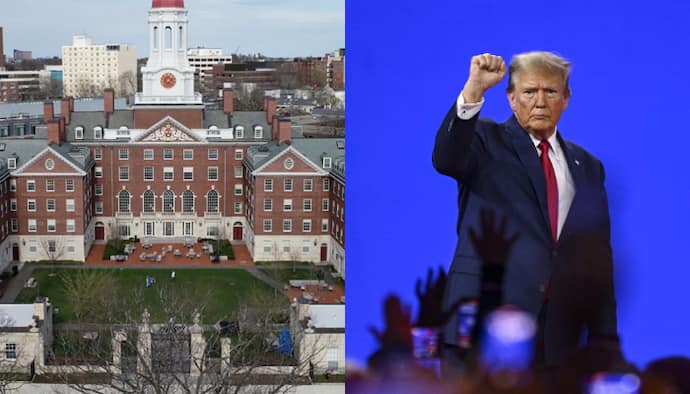 Explained: 10 points about Donald Trump-Harvard fallout
