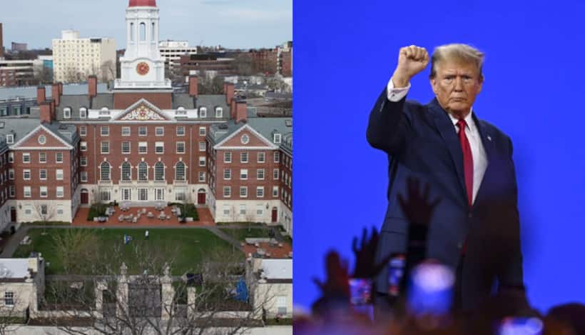 Explained: 10 points about Donald Trump-Harvard fallout
