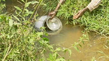 Yellow sewage water with a smell is the lifeblood of the people of Katte Haadi at Kodagu gvd Yellow sewage water with a smell is the lifeblood of the people of Katte Haadi at Kodagu gvd
