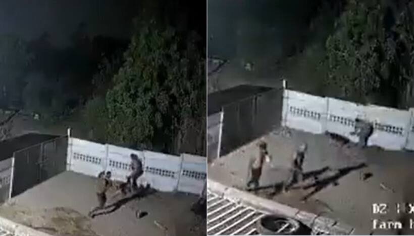 Pet dog turns hero! Owner survives midnight assault by 3 masked men in Gujarat (WATCH)