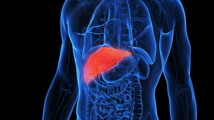 Liver Trouble Without Warning? When to Screen Even If You Feel Healthy
