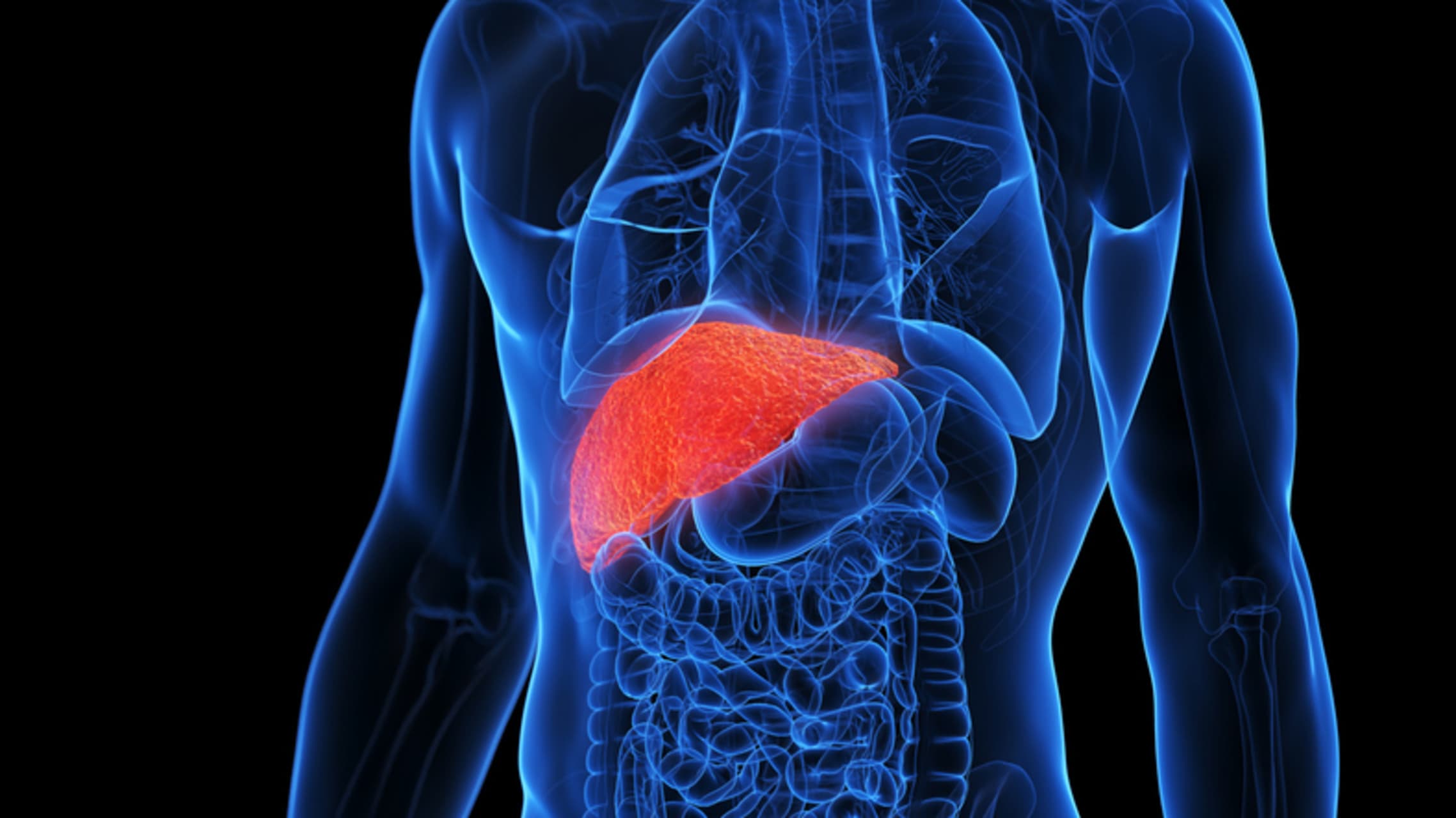 Fried food sugar intake lead to liver damage