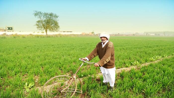 Farmer