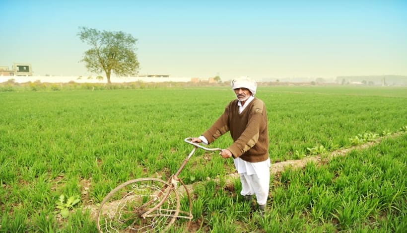 Farmer