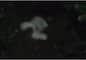 wayanad erumakkolly wild elephant attack one death 
