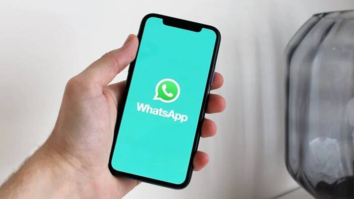 WhatsApp logo