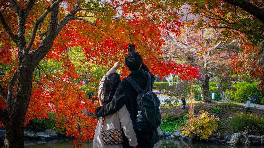 Japan dating
