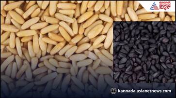 Superfood pine nuts benefits rav Superfood pine nuts benefits rav