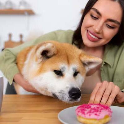 Wish your dog could talk? AI may soon make that possible