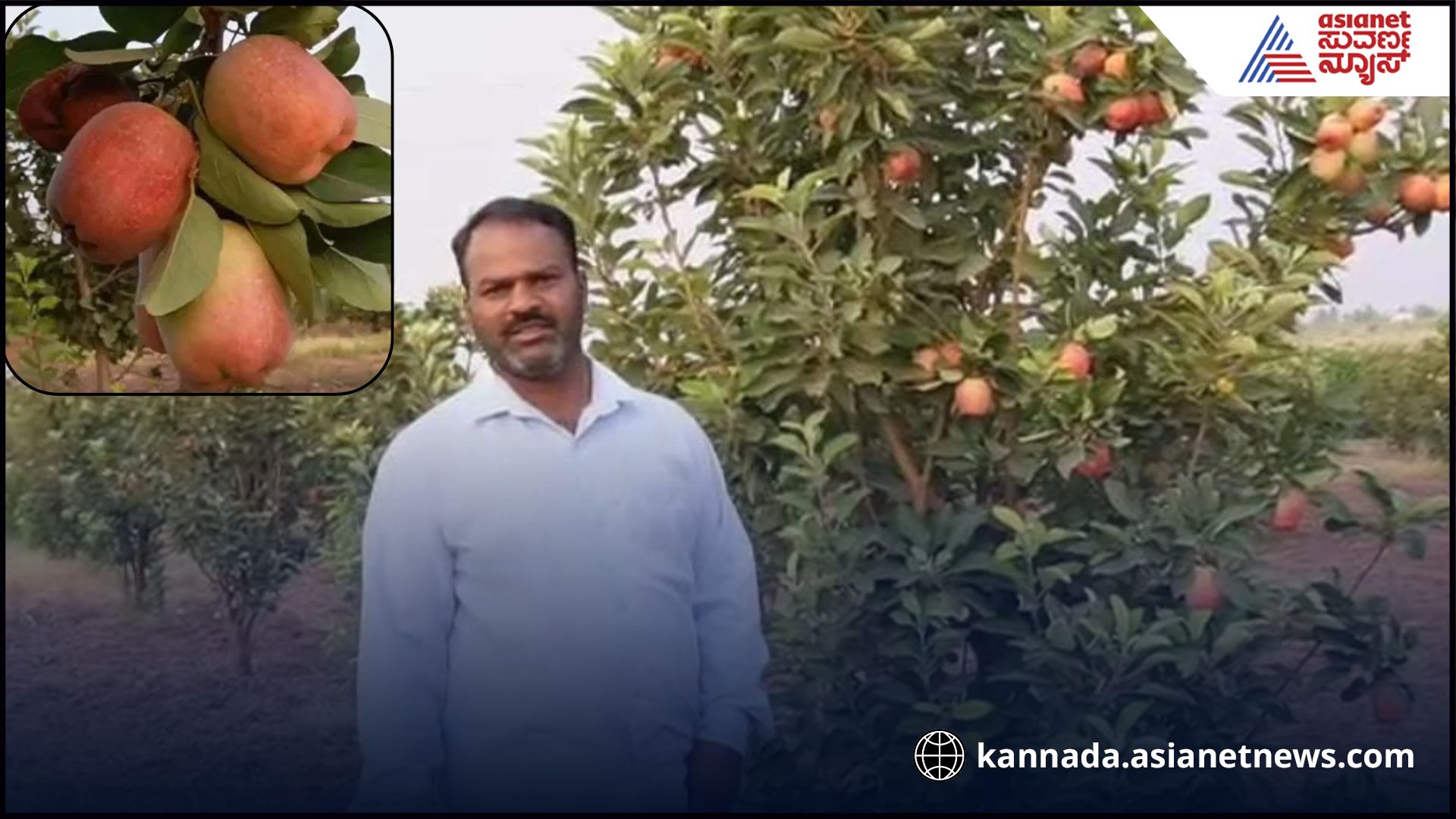 bagalkot-farmer-grows-apples-in-heat-praised-by-pm-modi-sat