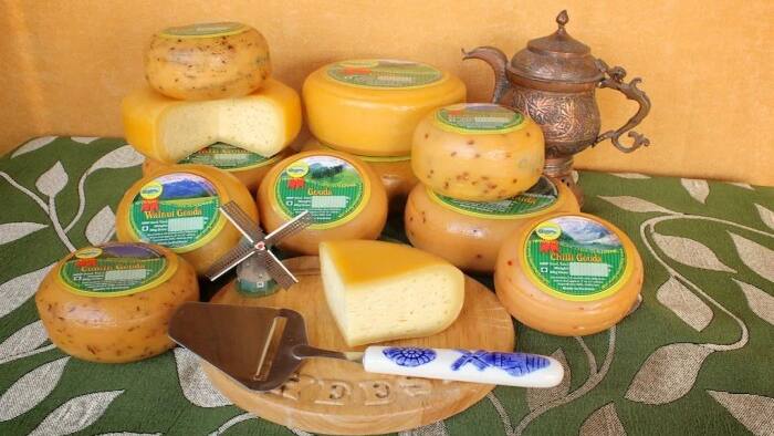 Cheeze