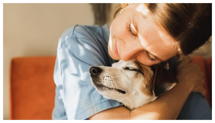 Animals improve your health how Thats how