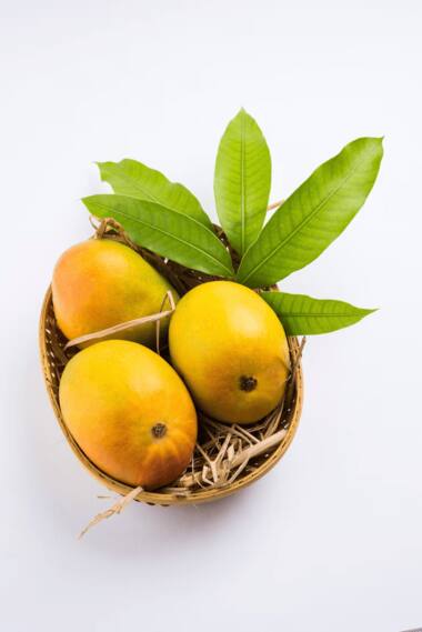 Asianet Image